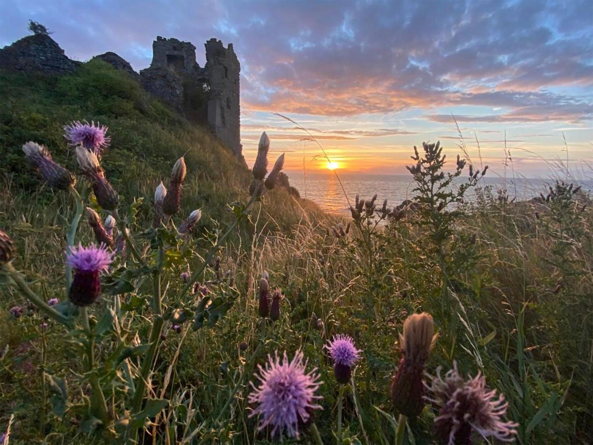 Aird Cottage Dunure 외부 사진